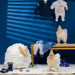 Resim NUSRET AKSESUAR