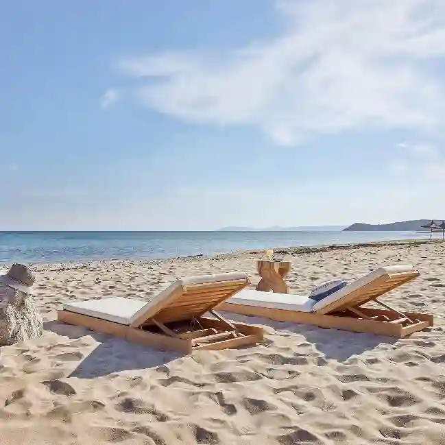 Resim YERLEBİR ŞEZLONG