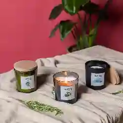 Resim PALM HAVEN TIPALI SOYA MUM