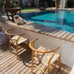 Resim MASK SANDALYE NATURAL