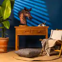 Resim DİDEM DRESUAR