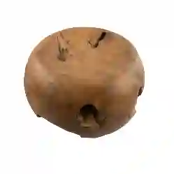 Resim KÜÇÜK GÖBEK TEAK TABURE - SEHPA